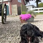 شقة Gut Bennewohld