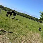 Gut Bennewohld Lejlighed Heide (Schleswig-Holstein)