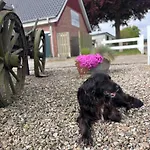 Gut Bennewohld Lejlighed *